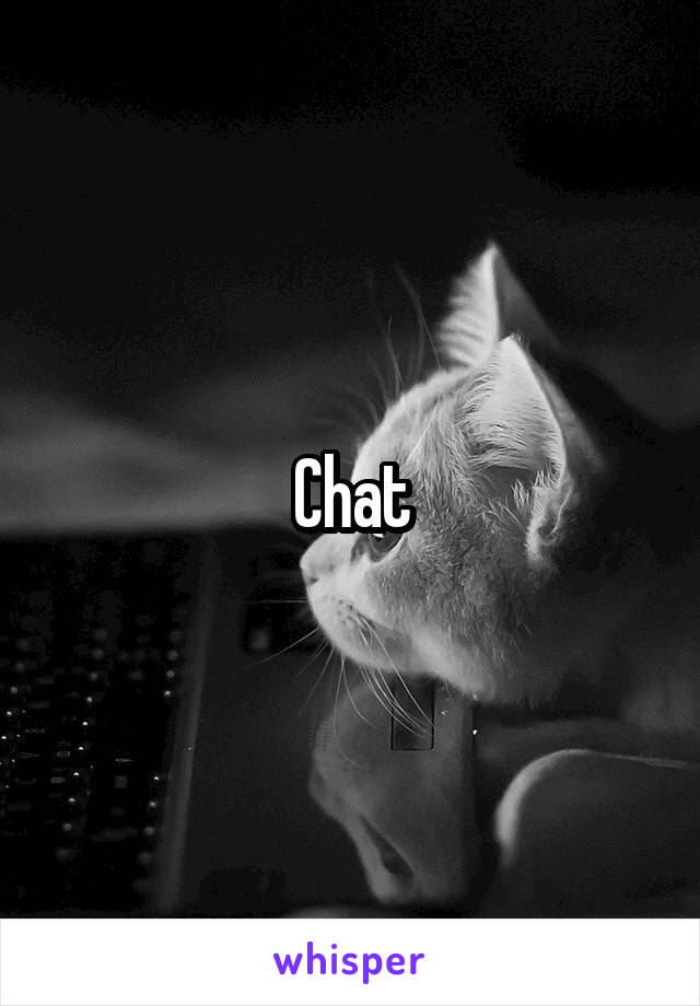 Chat