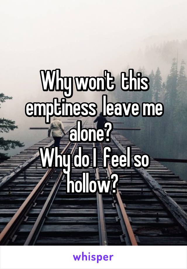 Why won't  this emptiness  leave me alone?  
Why do I  feel so hollow? 