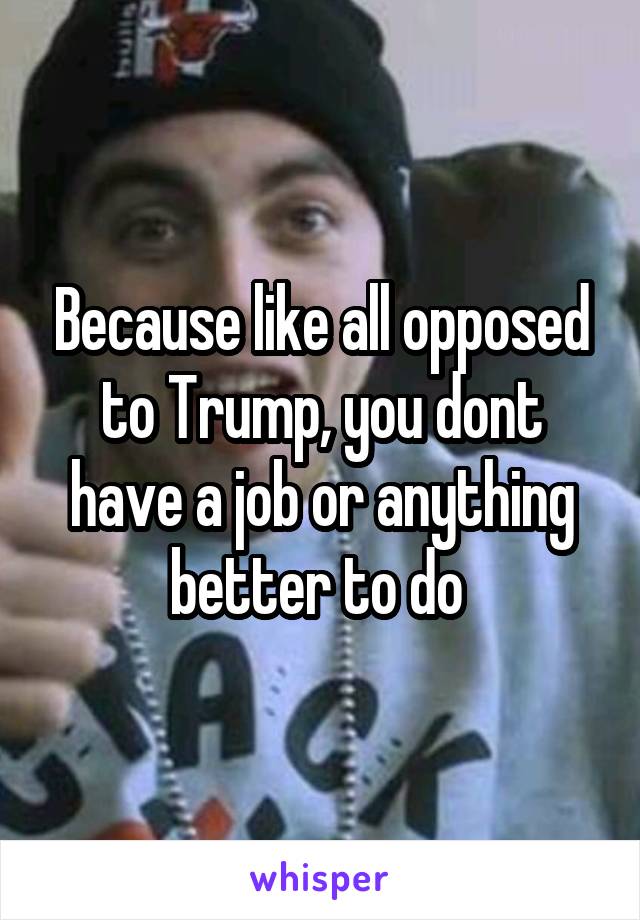 Because like all opposed to Trump, you dont have a job or anything better to do 