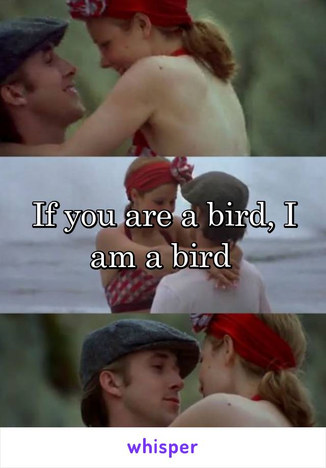 If you are a bird, I am a bird 