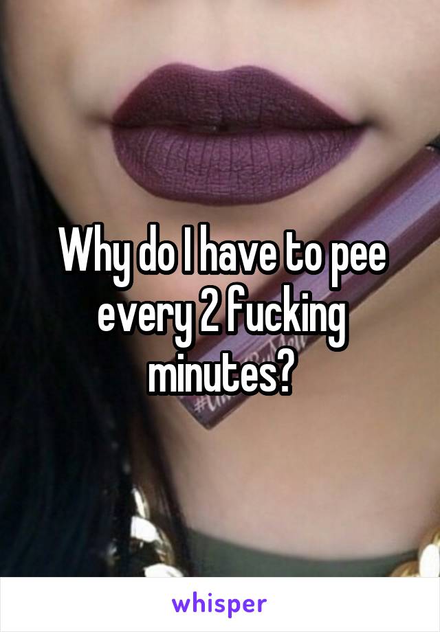 Why do I have to pee every 2 fucking minutes?