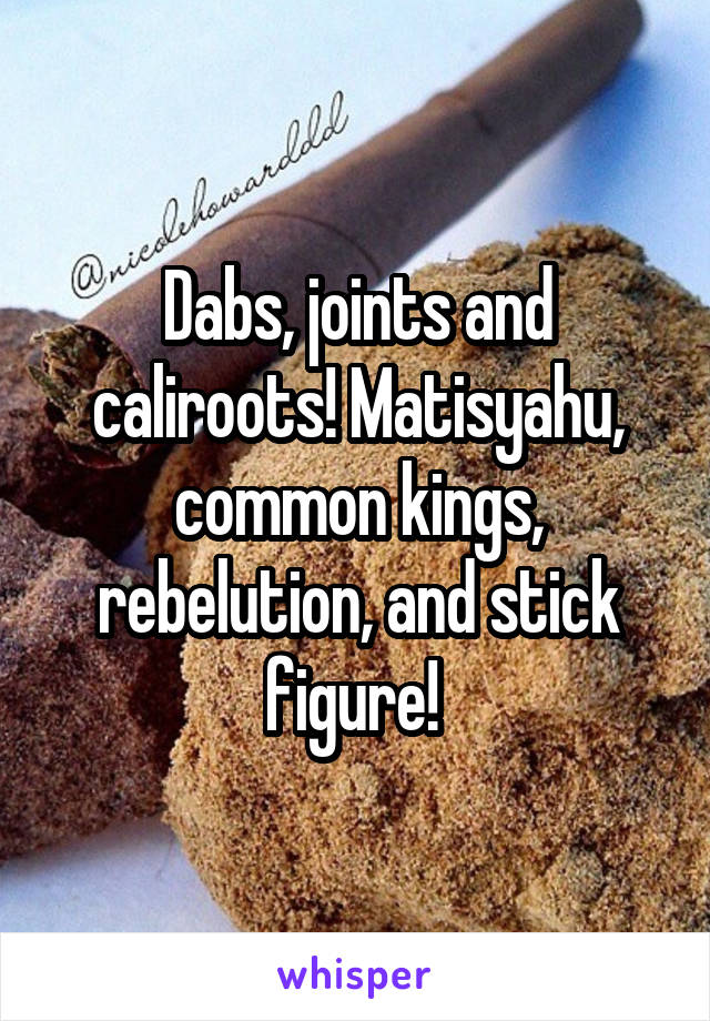 Dabs, joints and caliroots! Matisyahu, common kings, rebelution, and stick figure! 