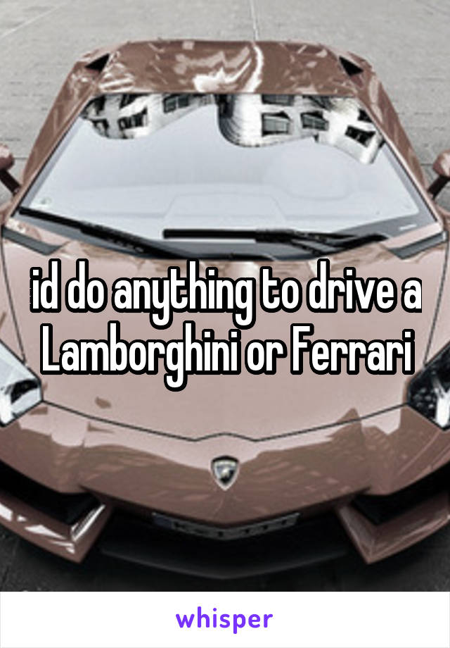 id do anything to drive a Lamborghini or Ferrari