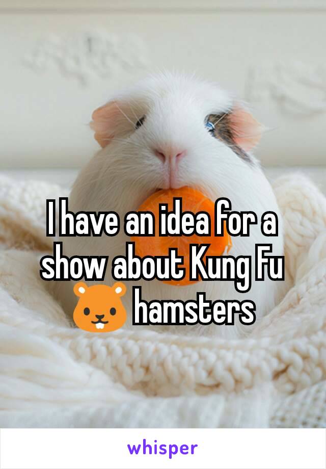 I have an idea for a show about Kung Fu 🐹 hamsters