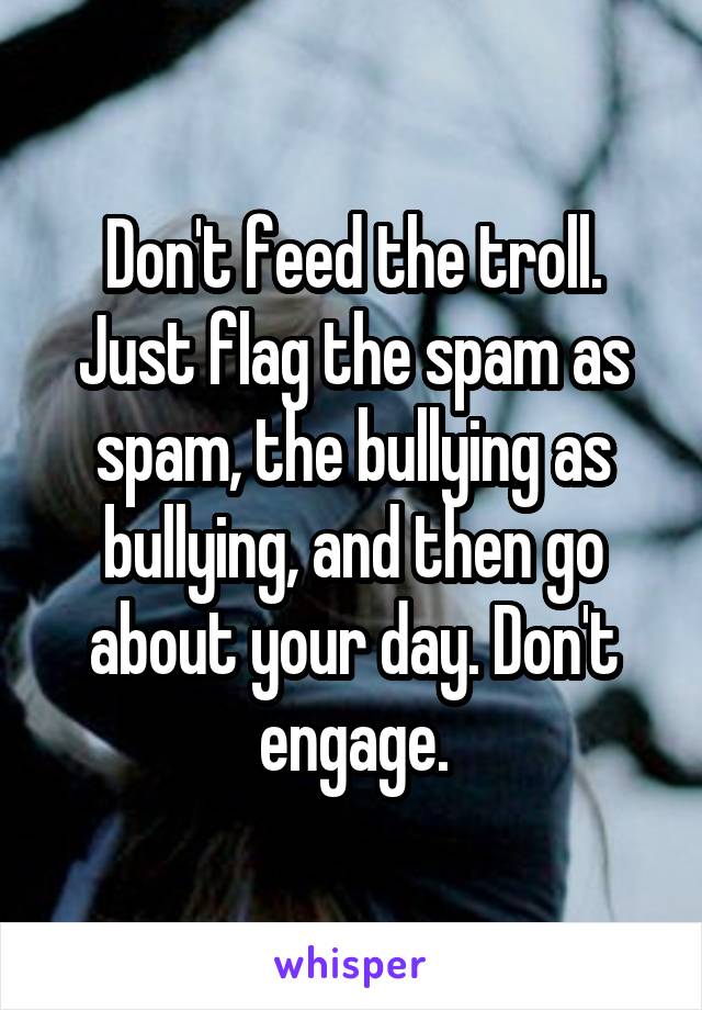 Don't feed the troll. Just flag the spam as spam, the bullying as bullying, and then go about your day. Don't engage.