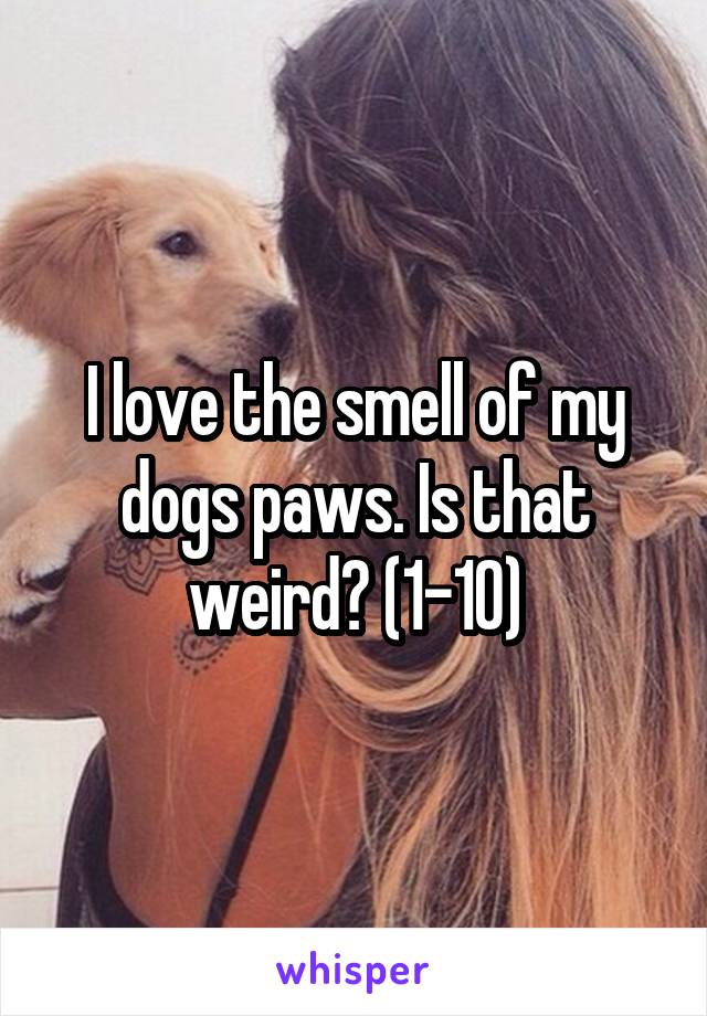 I love the smell of my dogs paws. Is that weird? (1-10)