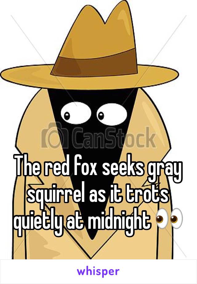 



The red fox seeks gray squirrel as it trots quietly at midnight 👀 