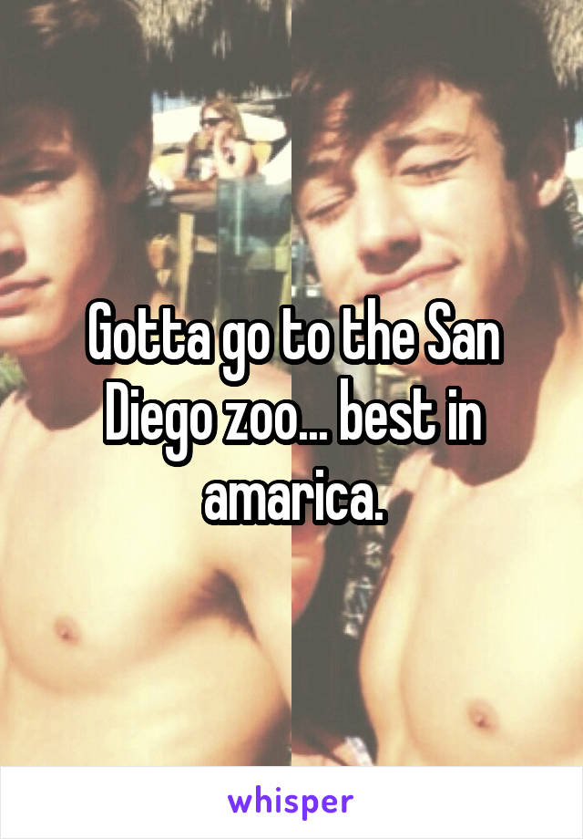 Gotta go to the San Diego zoo... best in amarica.