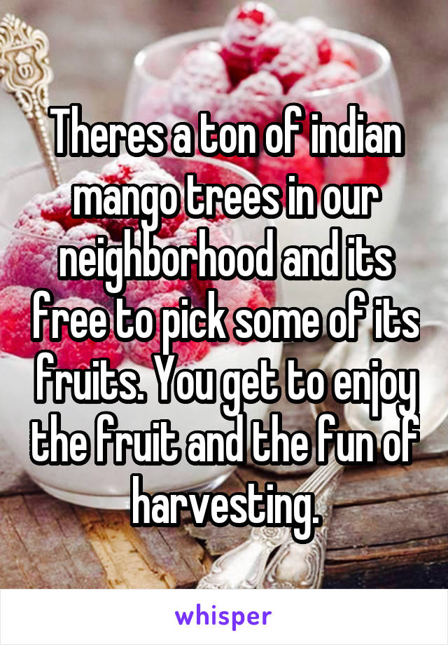 Theres a ton of indian mango trees in our neighborhood and its free to pick some of its fruits. You get to enjoy the fruit and the fun of harvesting.