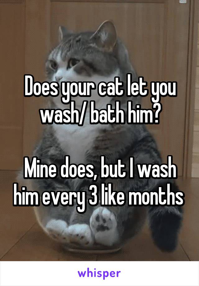 Does your cat let you wash/ bath him?

Mine does, but I wash him every 3 like months 