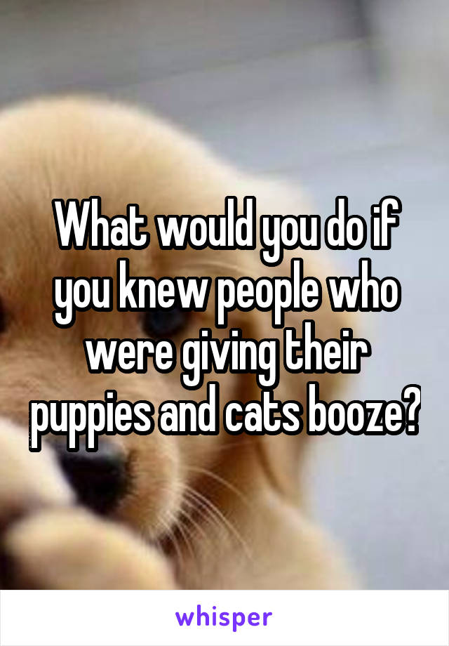 What would you do if you knew people who were giving their puppies and cats booze?