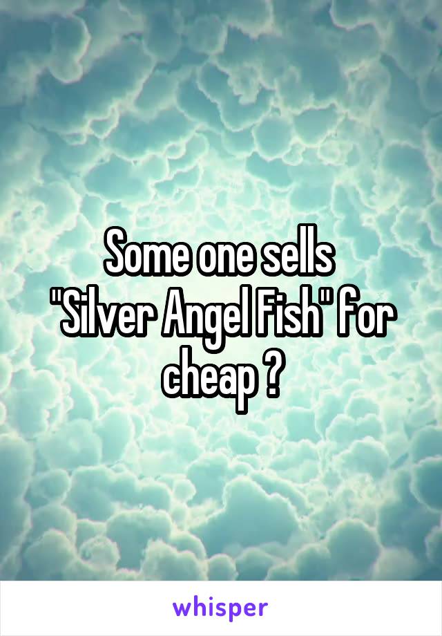 Some one sells 
"Silver Angel Fish" for cheap ?