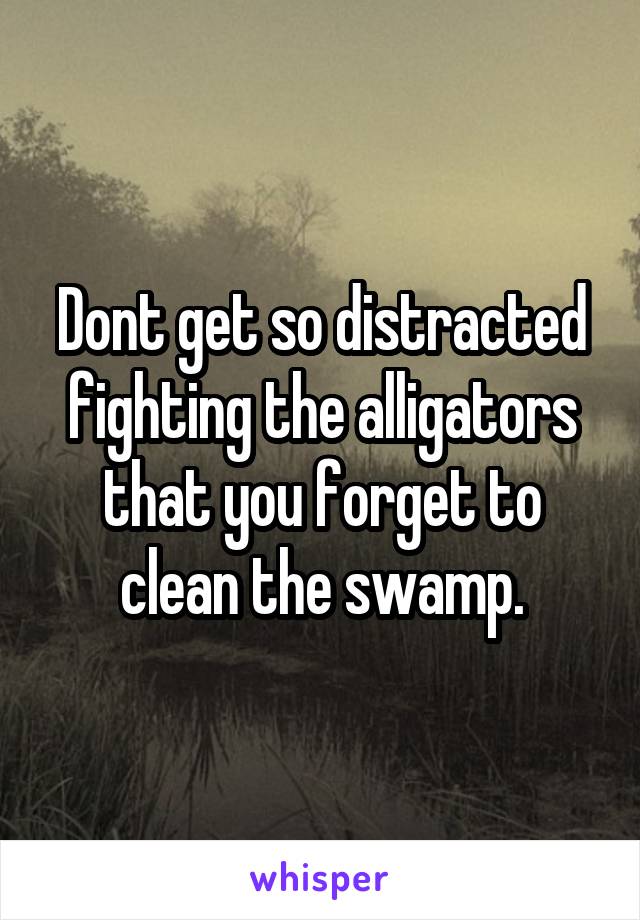 Dont get so distracted fighting the alligators that you forget to clean the swamp.