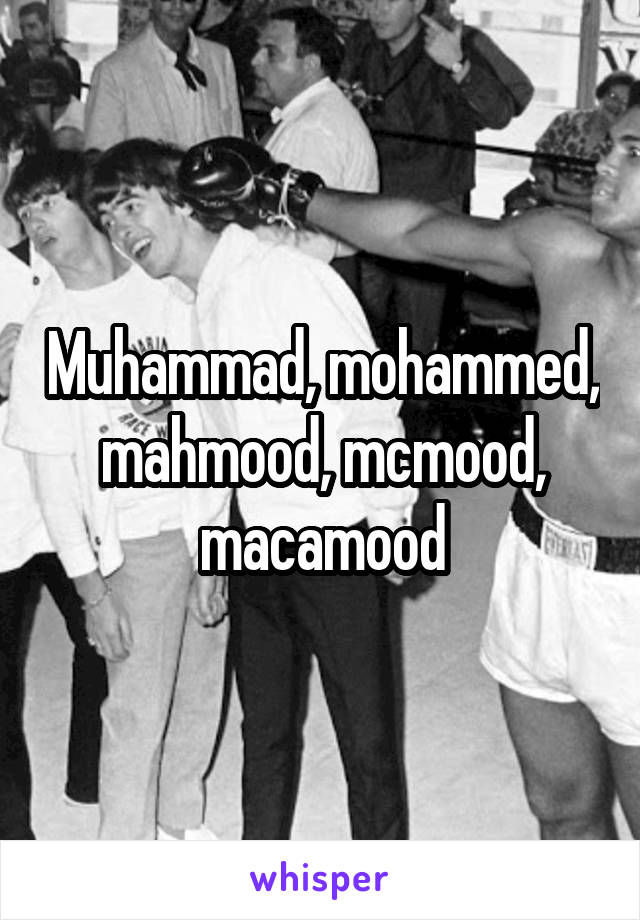 Muhammad, mohammed, mahmood, mcmood, macamood