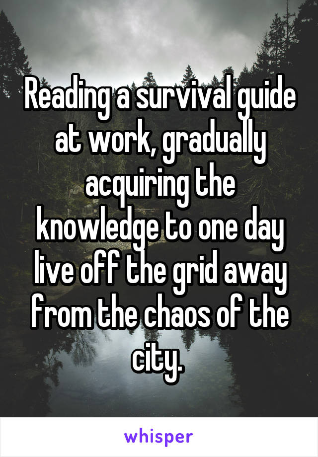 Reading a survival guide at work, gradually acquiring the knowledge to one day live off the grid away from the chaos of the city. 