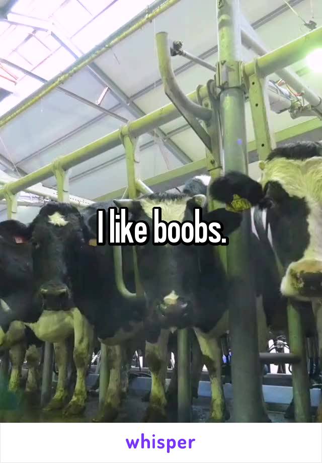 I like boobs.