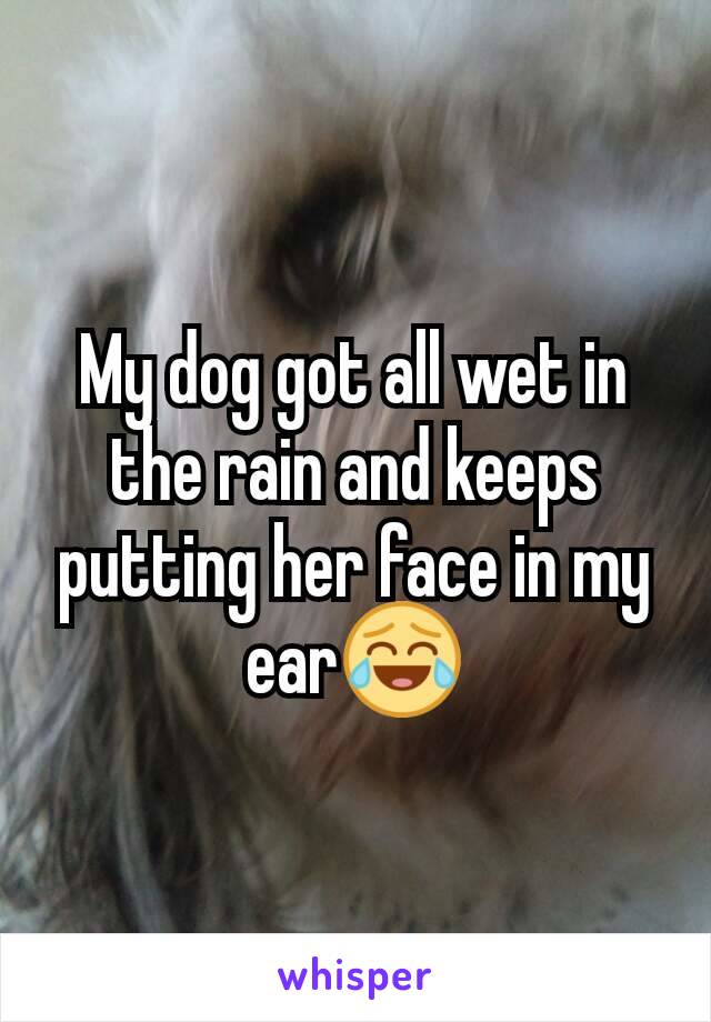 My dog got all wet in the rain and keeps putting her face in my ear😂