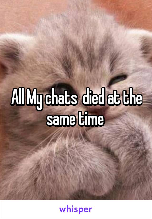 All My chats  died at the same time 