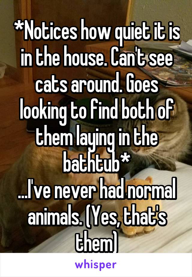 *Notices how quiet it is in the house. Can't see cats around. Goes looking to find both of them laying in the bathtub*
...I've never had normal animals. (Yes, that's them)