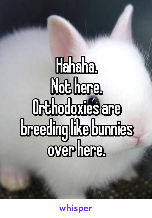 Hahaha.
Not here.
Orthodoxies are breeding like bunnies over here.