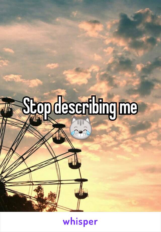 Stop describing me 😹