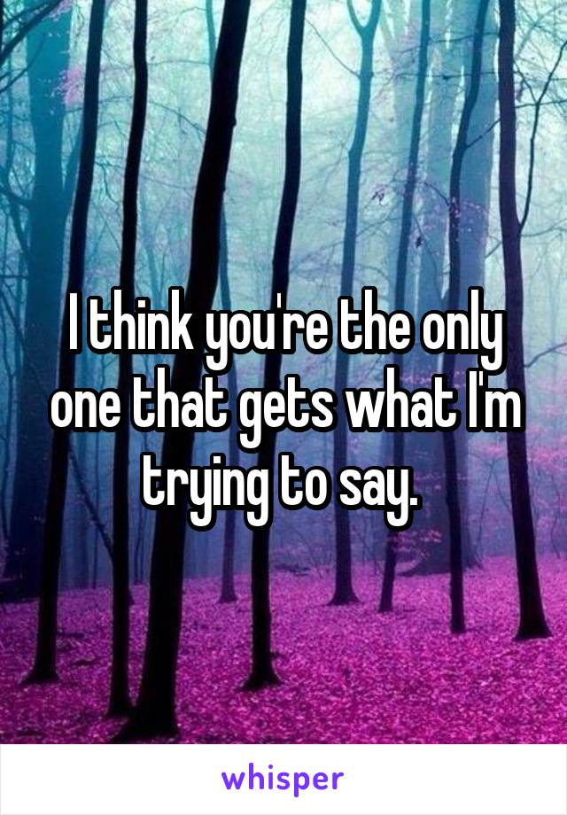 I think you're the only one that gets what I'm trying to say. 