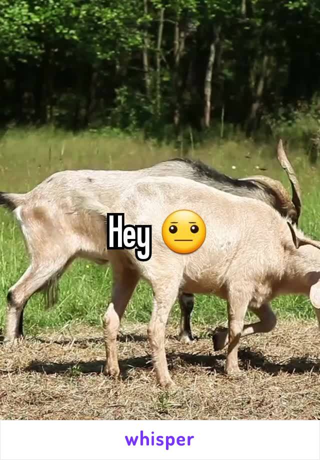 Hey 😐