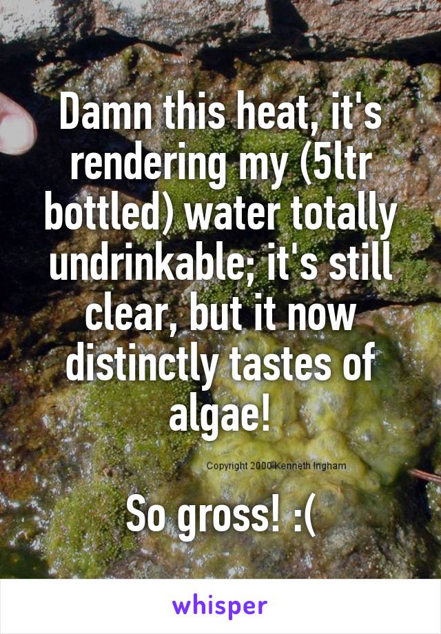 Damn this heat, it's rendering my (5ltr bottled) water totally undrinkable; it's still clear, but it now distinctly tastes of algae!

So gross! :(