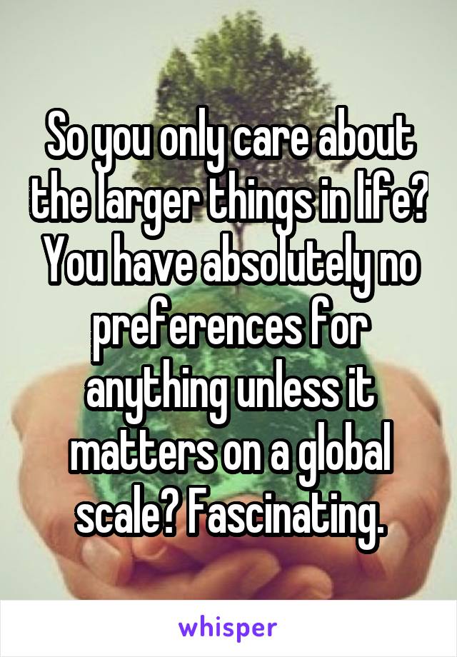 So you only care about the larger things in life? You have absolutely no preferences for anything unless it matters on a global scale? Fascinating.