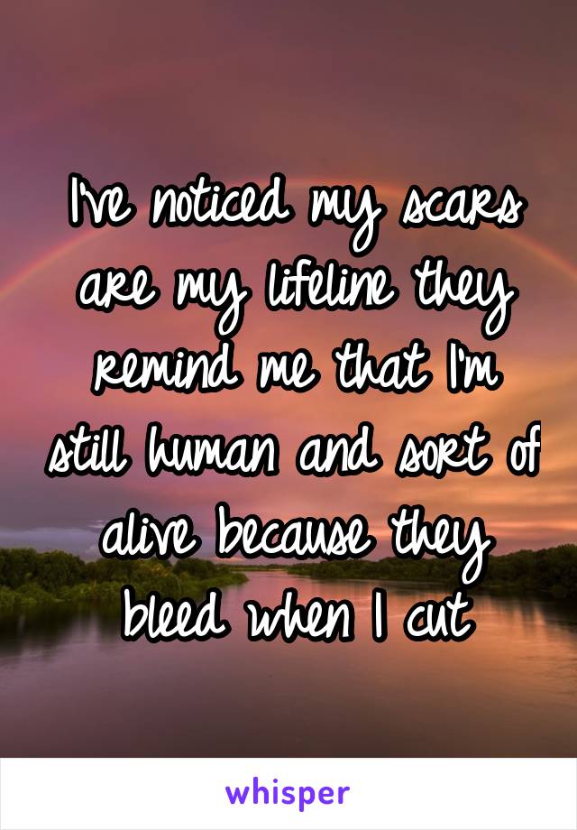 I've noticed my scars are my lifeline they remind me that I'm still human and sort of alive because they bleed when I cut