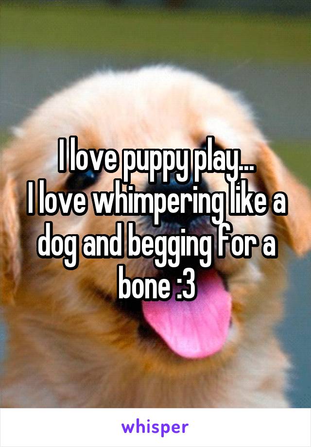 I love puppy play...
I love whimpering like a dog and begging for a bone :3