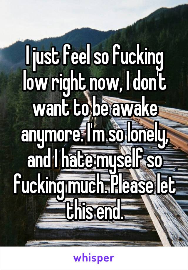 I just feel so fucking low right now, I don't want to be awake anymore. I'm so lonely, and I hate myself so fucking much. Please let this end.