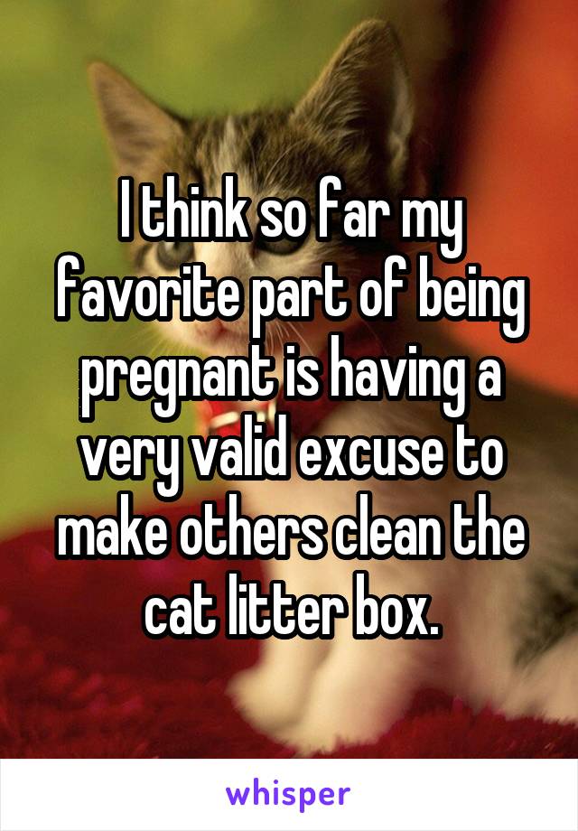 I think so far my favorite part of being pregnant is having a very valid excuse to make others clean the cat litter box.