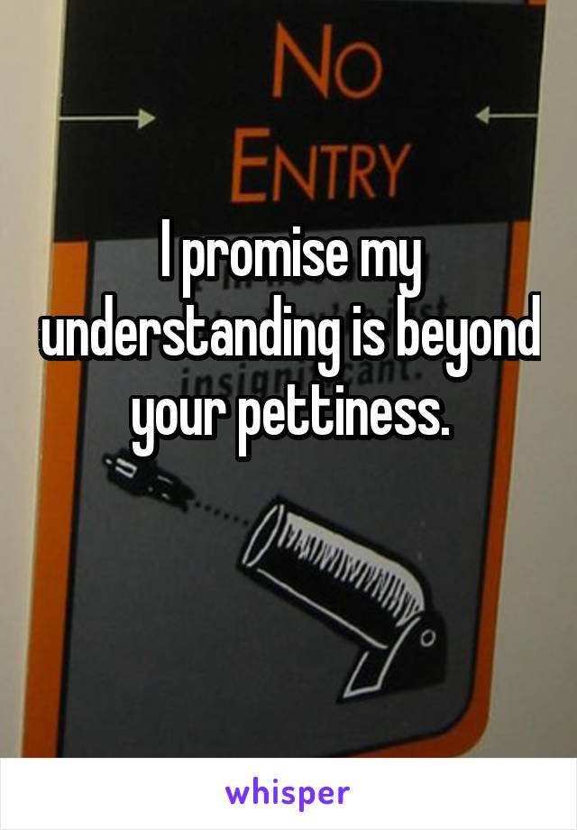 I promise my understanding is beyond your pettiness.

