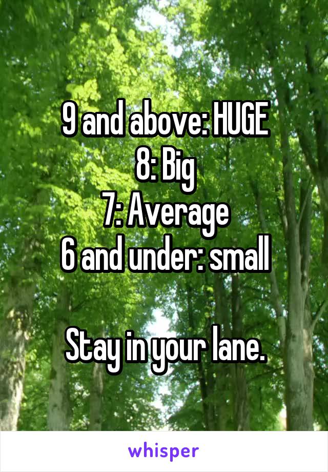 9 and above: HUGE
8: Big
7: Average
6 and under: small

Stay in your lane.