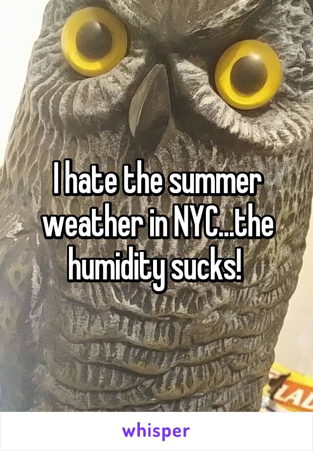 I hate the summer weather in NYC...the humidity sucks! 