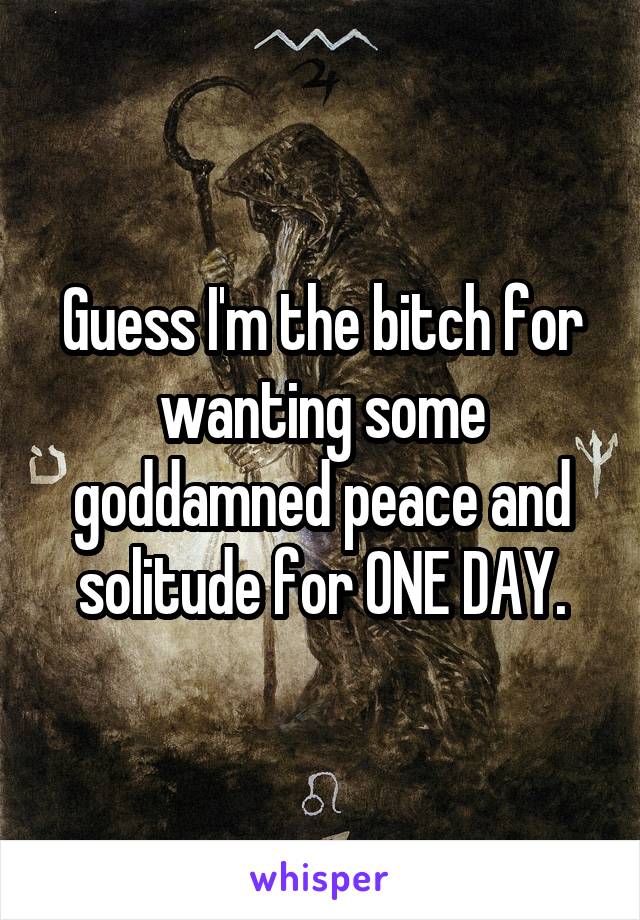 Guess I'm the bitch for wanting some goddamned peace and solitude for ONE DAY.