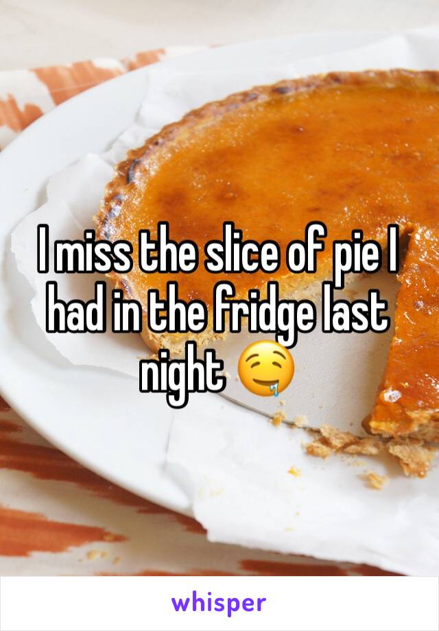 I miss the slice of pie I had in the fridge last night 🤤