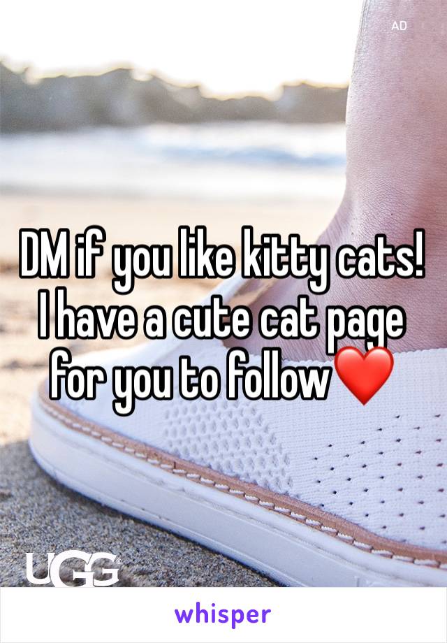 DM if you like kitty cats! I have a cute cat page for you to follow❤️