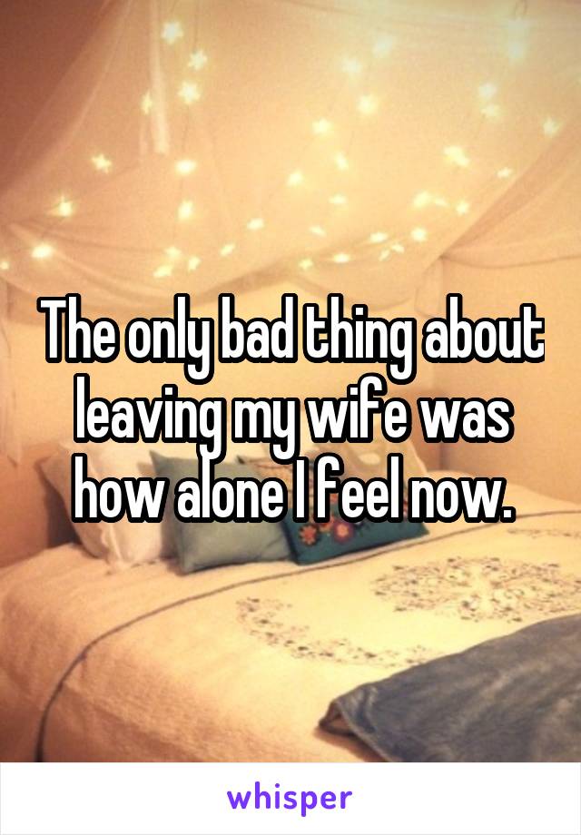 The only bad thing about leaving my wife was how alone I feel now.