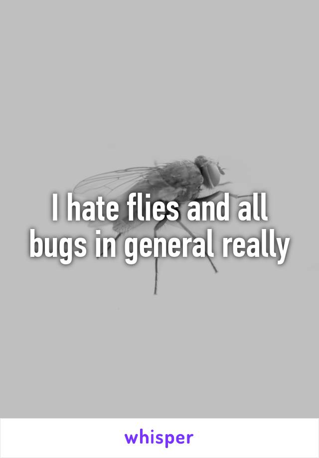 I hate flies and all bugs in general really