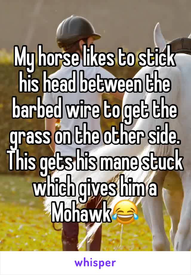 My horse likes to stick his head between the barbed wire to get the grass on the other side. This gets his mane stuck which gives him a Mohawk😂