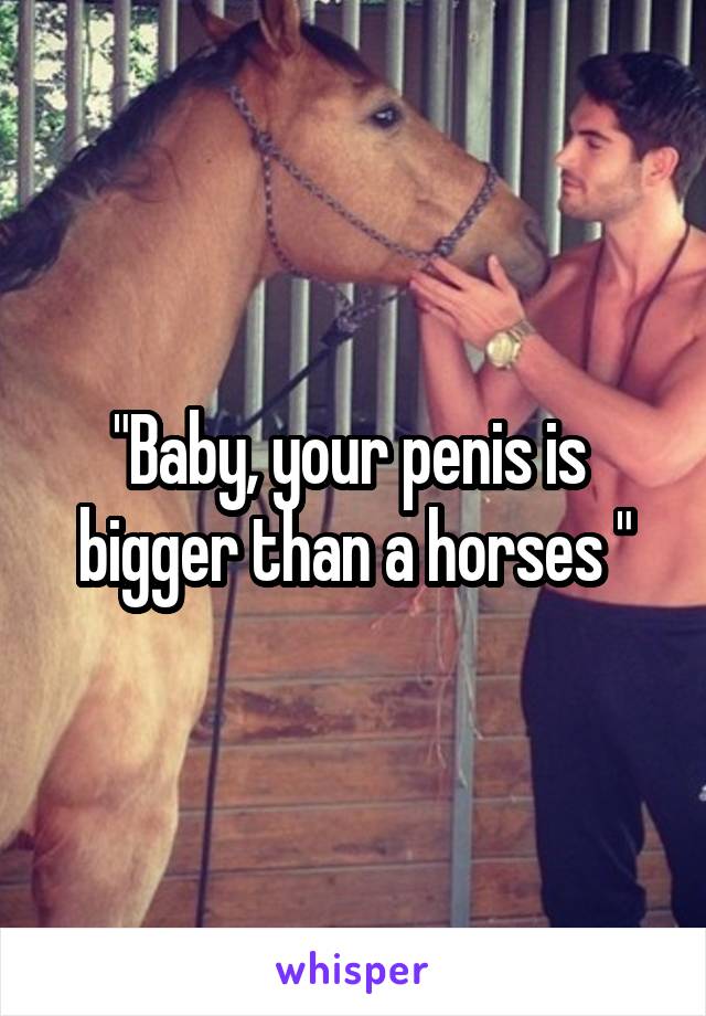 "Baby, your penis is  bigger than a horses "