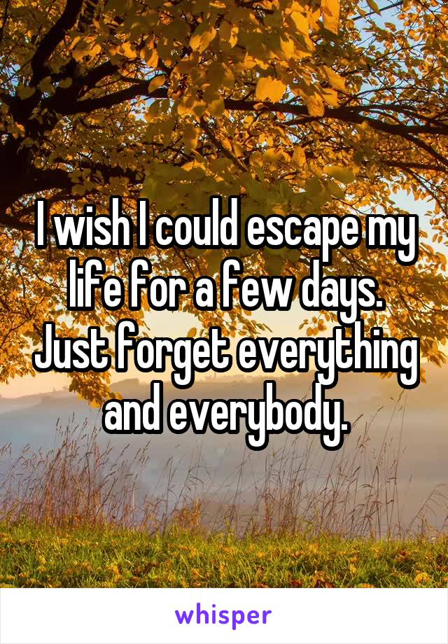 I wish I could escape my life for a few days. Just forget everything and everybody.