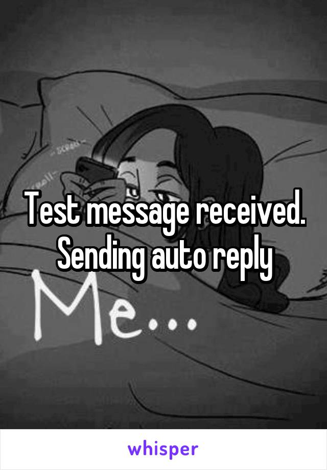 Test message received. Sending auto reply