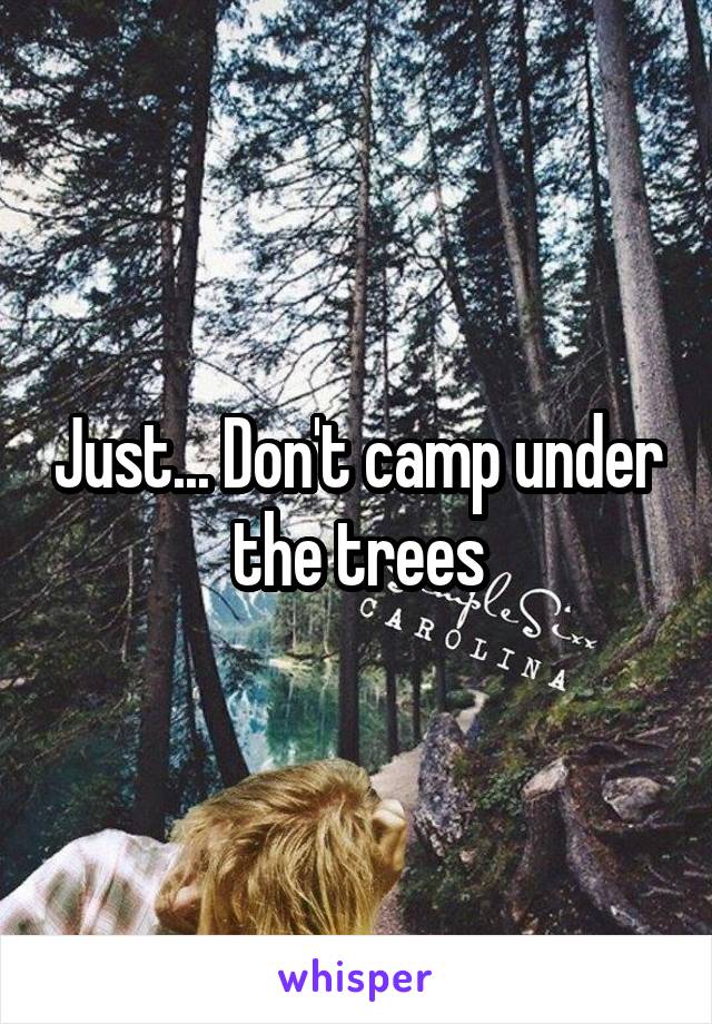 Just... Don't camp under the trees