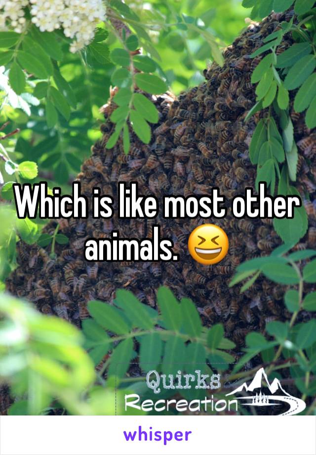 Which is like most other animals. 😆