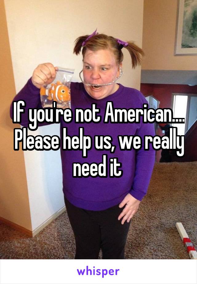 If you're not American.... Please help us, we really need it 