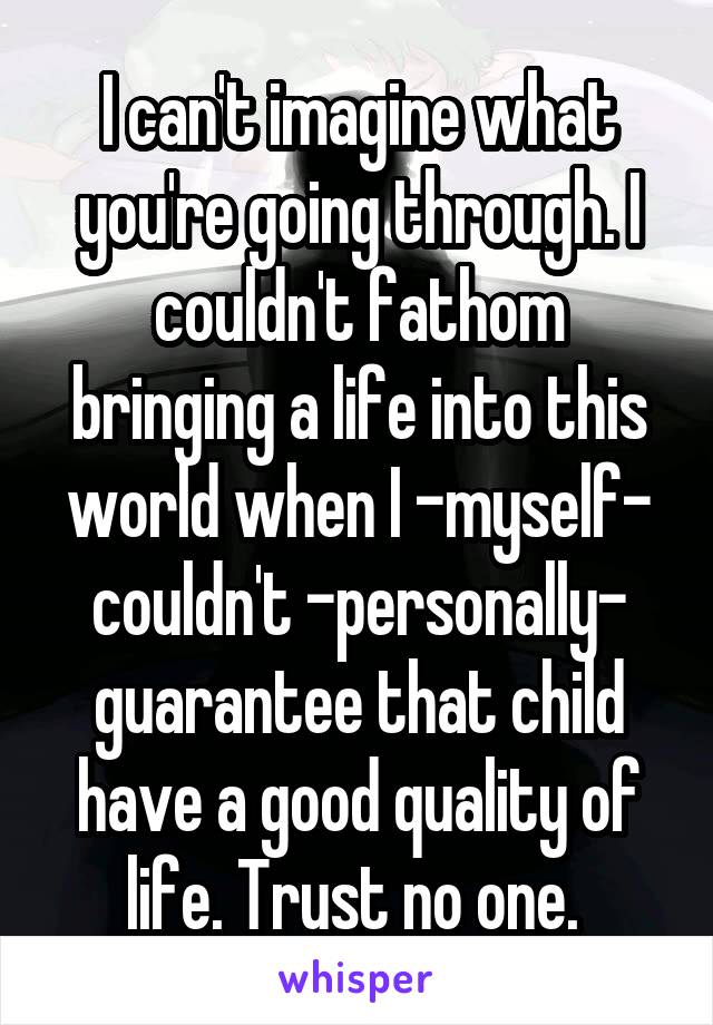 I can't imagine what you're going through. I couldn't fathom bringing a life into this world when I -myself- couldn't -personally- guarantee that child have a good quality of life. Trust no one. 