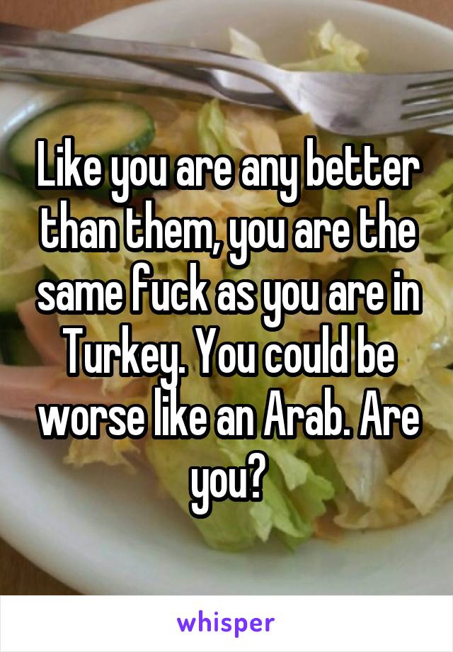 Like you are any better than them, you are the same fuck as you are in Turkey. You could be worse like an Arab. Are you?